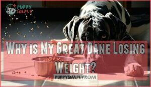 why is my great dane losing weight