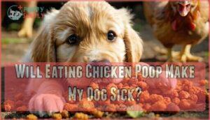 will eating chicken poop make my dog sick