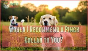 would i recommend a pinch collar to you