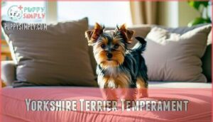 yorkshire terrier temperament