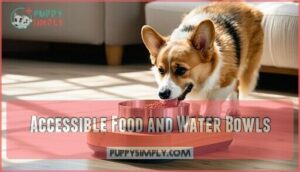 accessible food and water bowls