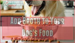 add broth to your dog's food
