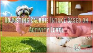 adjusting calorie intake based on activity level