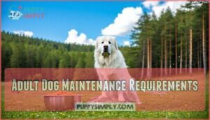 adult dog maintenance requirements
