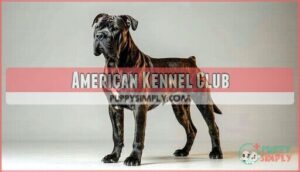 american kennel club