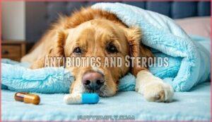 antibiotics and steroids