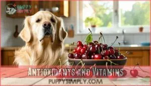 antioxidants and vitamins