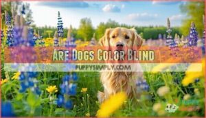 are dogs color blind