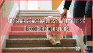 are stairs bad for dogs