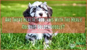 are there health problems with the merle colored goldendoodle