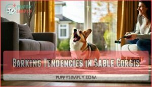 barking tendencies in sable corgis