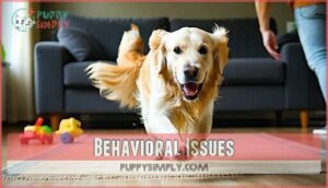 behavioral issues