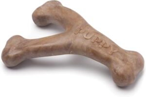 Benebone Puppy Wishbone Dog Chew B07YM49H5W