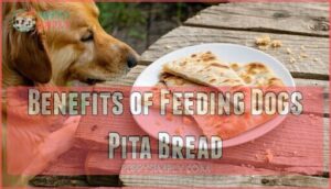 benefits of feeding dogs pita bread