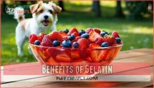 benefits of gelatin