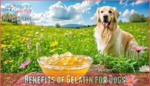 benefits of gelatin for dogs