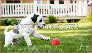 benefits of mixing the breeds