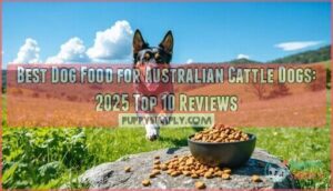 best dog food for australian cattle dogs