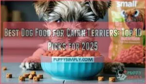 best dog food for cairn terriers
