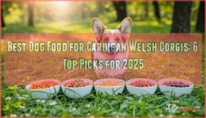 best dog food for cardigan welsh corgis