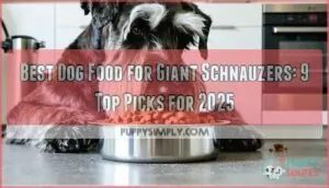 best dog food for giant schnauzers