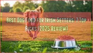 best dog food for irish setters