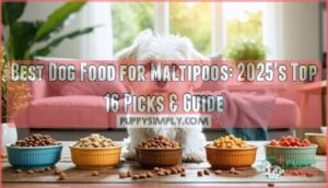 best dog food for maltipoos