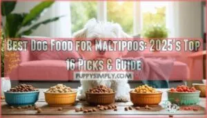 best dog food for maltipoos
