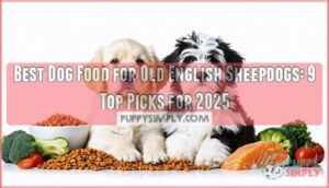 best dog food for old english sheepdogs