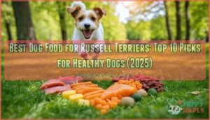 best dog food for russell terriers