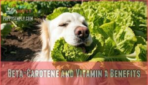 beta-carotene and vitamin a benefits