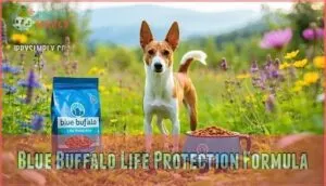blue buffalo life protection formula