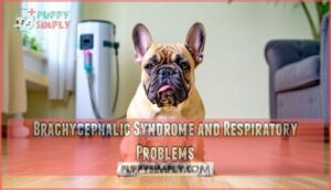 brachycephalic syndrome and respiratory problems