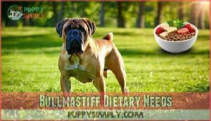 bullmastiff dietary needs