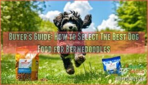 buyer’s guide: how to select the best dog food for bernedoodles