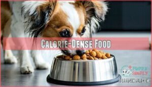 calorie-dense food
