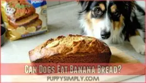 can dogs eat banana bread