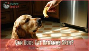 can dogs eat bananas skin