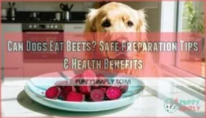 can dogs eat beets