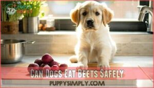 can dogs eat beets safely