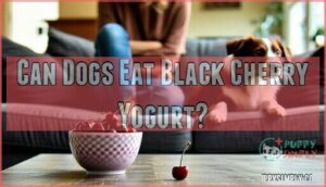 can dogs eat black cherry yogurt