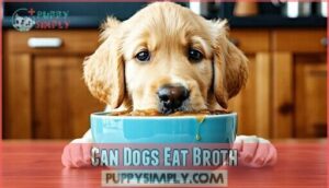 can dogs eat broth