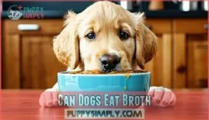 can dogs eat broth