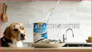 can dogs eat canned sardines