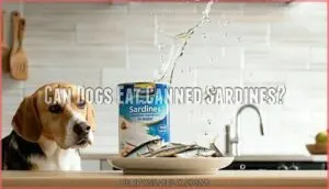 can dogs eat canned sardines