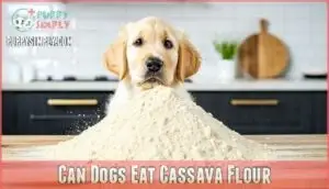 can dogs eat cassava flour