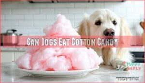 can dogs eat cotton candy