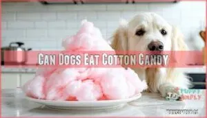 can dogs eat cotton candy