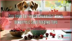can dogs eat fresh cherries