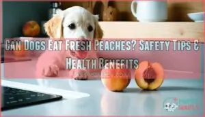 can dogs eat fresh peaches
